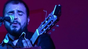 durban plano pelicano